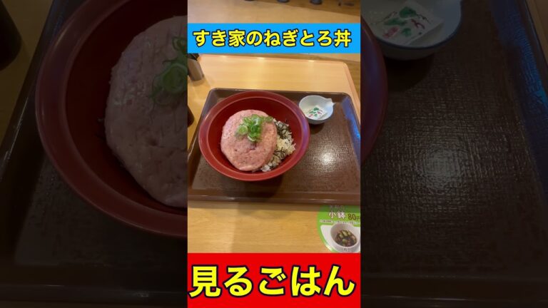 すき家のねぎとろ丼