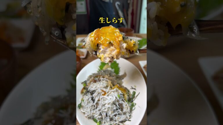 江ノ島【朝採れ湘南しらすと薬膳定食が絶品。しらすは生、沖漬け、釜揚げの3種類が最高だった】