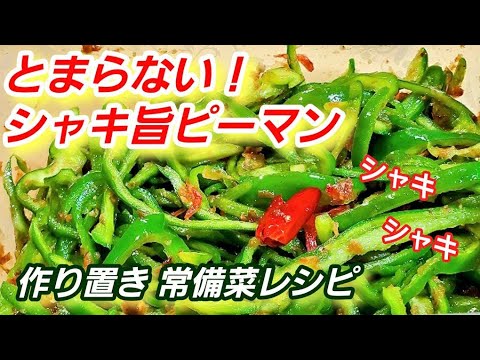流行りの【やみつき無限ピーマン】とまらない！焼き浸しを越えた1品。作り置き/常備菜/おつまみ/簡単節約人気バズレシピ/美食/ダイエット