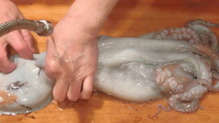 《マダコ（真蛸）の茹で物を 胡麻塩で！》・・・・大和の 和の料理《茹で物》