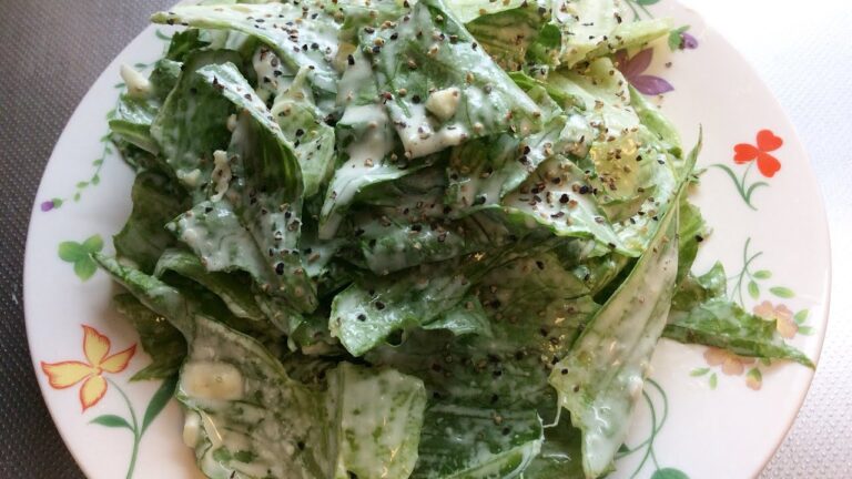 レタスと粉チーズのサラダ