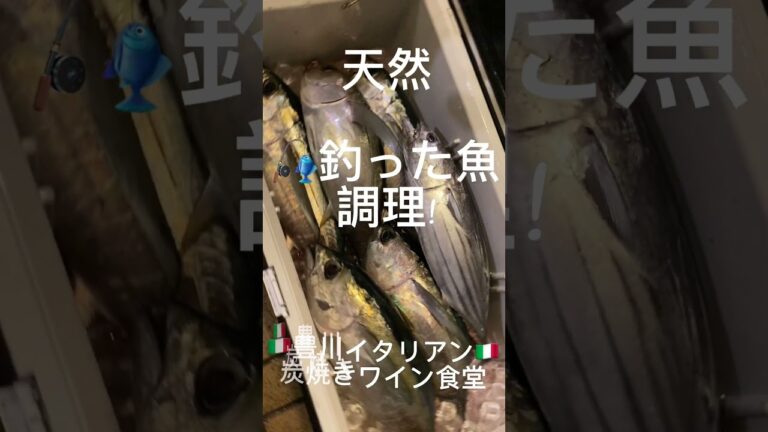 豊川飲食店/豊川魚介/天然マグロカルパッチョ【イオンモール豊川から車で５分】愛知県豊川市のイタリアンレストラン #イオンモール豊川