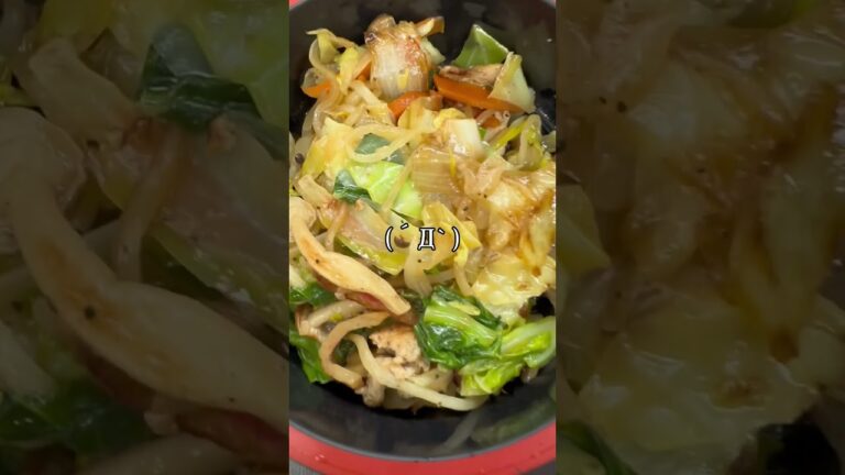 自然豊かな野菜炒め弁当(´Д` )