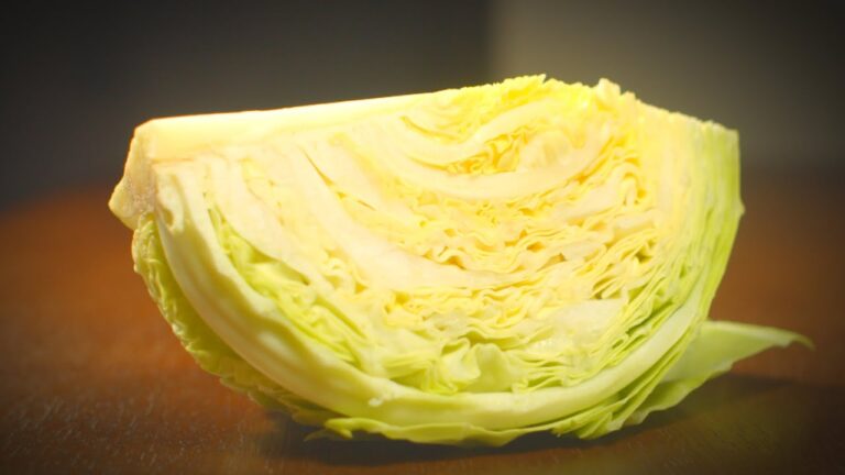 【 キャベツ レシピ 】ハマるおいしさ！ シンプルにうまいキャベツ 料理 3品