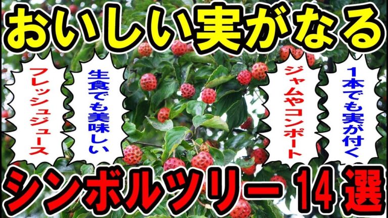 おいしい実がなるシンボルツリー14選【お庭解説】