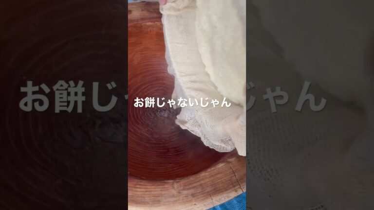 何これ？お餅つきなのにお餅じゃないじゃんww #shorts #餅つき　#もぐもぐごはんch