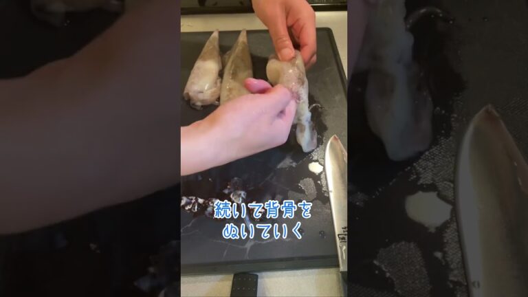 【下処理】ヤリイカの目と背骨をとっていく#かんたん料理 #かんたんレシピ #さばき方