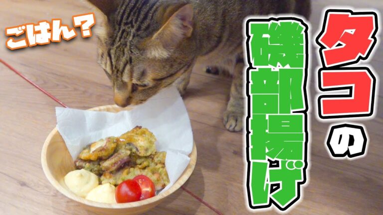 たこでもねこでも磯辺揚げは作れます。