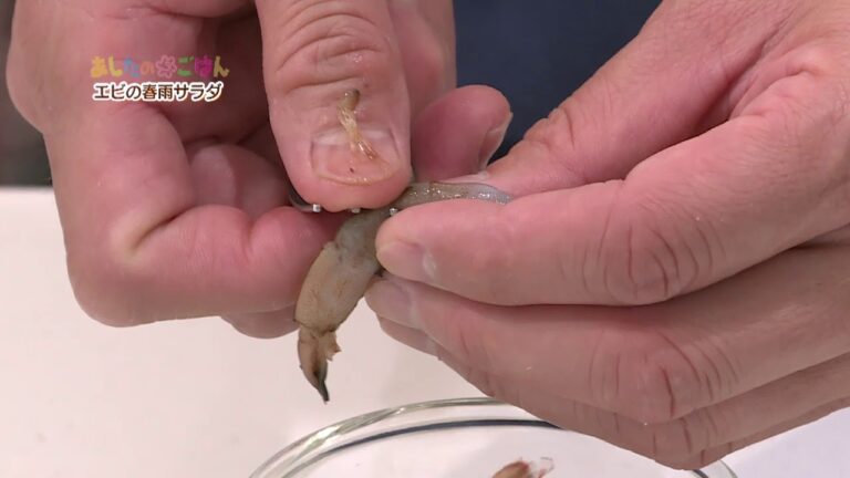 あしたのまるごはん 海老の春雨サラダ