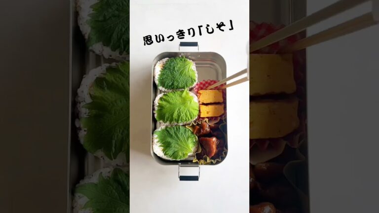 お試しあれ！【しそおにぎり弁当】お弁当の詰め方／How to pack a bento 【Shiso rice ball】　#shorts  #しそおにぎり　#弁当の詰め方