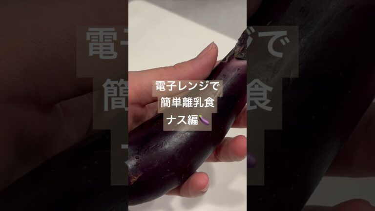 電子レンジで簡単離乳食ナス編