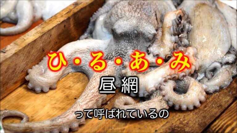 明石焼（玉子焼）のヒ・ミ・ツ