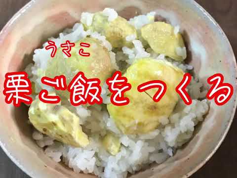 栗大好き！『栗ご飯をつくる』 ホクホクシンプル栗ごはん！