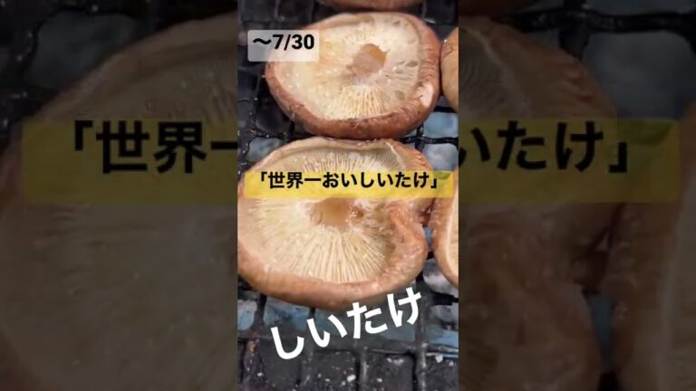 〜7/30「しいたけ串」#shorts 半額ワード詳しくは➡︎[･･･]