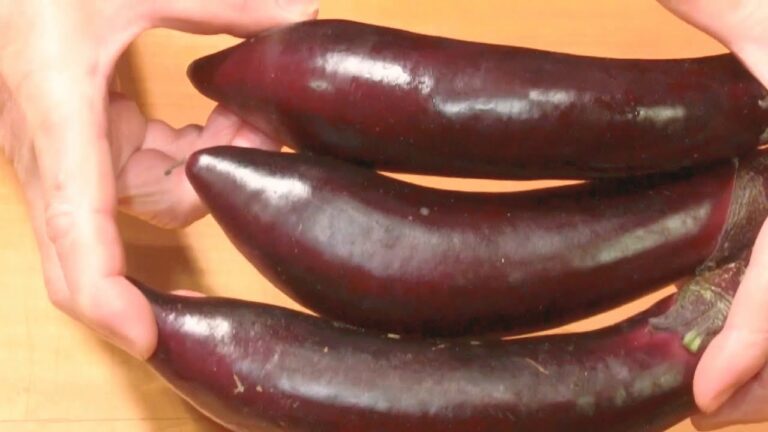 《揚げ茄子の胡麻味噌掛け》・・・・大和の　和の料理《味噌掛け（リハビリ編）》