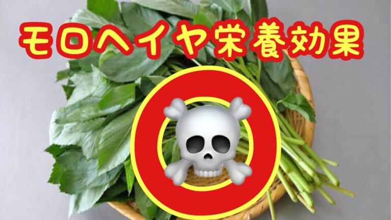 モロヘイヤ栄養効果