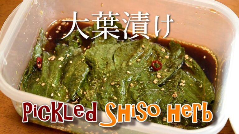 Pickled Shiso herb (Ooba) recipe Easy Tasty Japanese Authentic rice meal