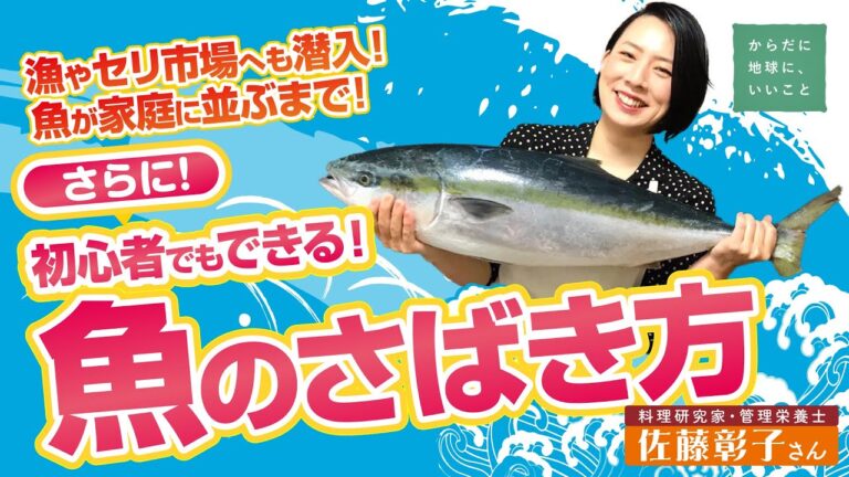 【漁からはじまる魚さばき】基本の魚のさばき方＆簡単！子供も出来る魚のさばき方【からだに地球に、いいこと】ゲスト：佐藤彰子（料理研究家・管理栄養士）
