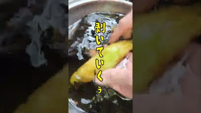 独身おっさんは焼きナスが好きでした