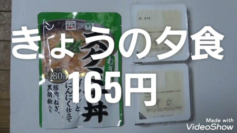 #ローソン100#ダイエット#豆腐#ねぎ塩スタミナ丼#はじめましてゴンタローです