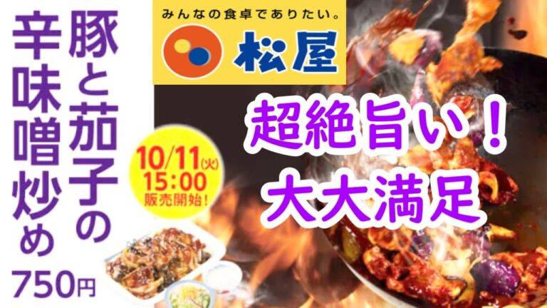 【松屋】秋の定番メニュー「豚と茄子の辛味噌炒め定食」これマジで旨い！ #コク旨 #甘辛  #並盛 #味噌汁  #おいしい  #美味しい  #箸が止まらない #ガッツリ丼めし #レシピ欲しい