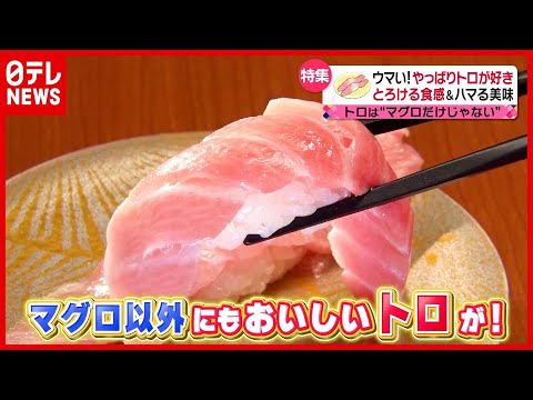 【トロ】マグロだけじゃない！ 脂が乗った絶品“トロトロ”料理「やっぱりトロが好き！」『every.特集』