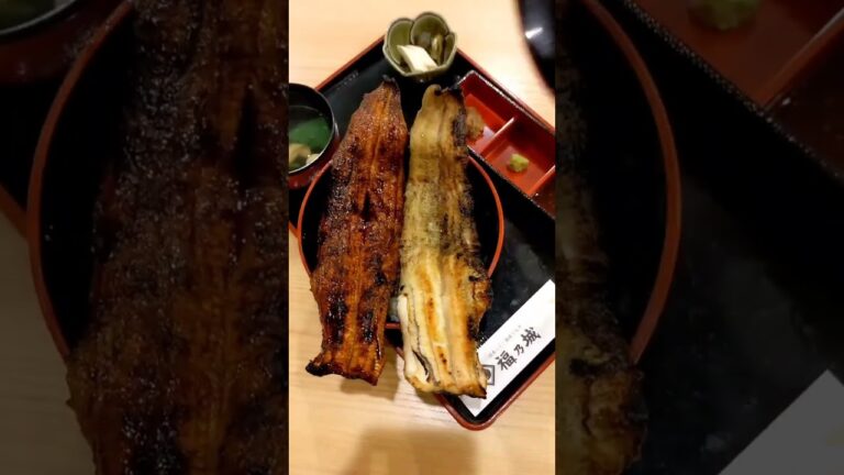 一色産地焼き鰻 福乃城 うなぎ蒲焼・白焼きが２尾入り『極上 紅白うな丼』大阪・福島 #大阪グルメ