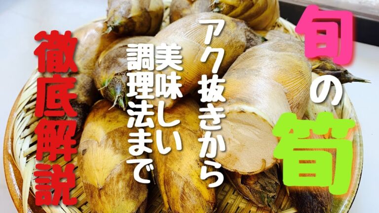筍のアク抜きと美味しい調理法。旬の筍の食べ方を徹底解説