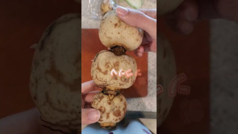 【30秒料理日記】レンコンのピリ辛甘酢漬け作った記録('∇')【おうちごはんvlog】#shorts