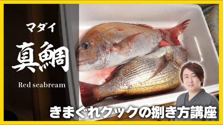きまぐれクック流「真鯛の捌き方」-red sea bream-