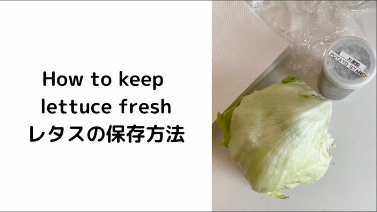 How To Keep Lettuce Fresh 🥬 | レタスの保存方法 | Food Storage | YUCa's Japanese Cooking #Shorts