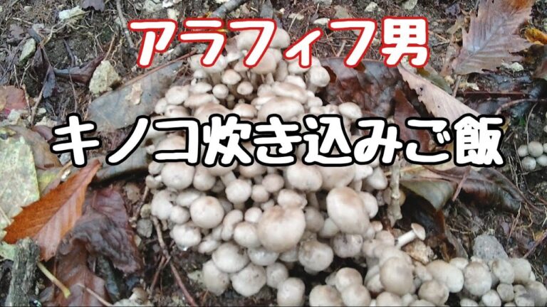 【天然キノコ】の 【炊き込みご飯】