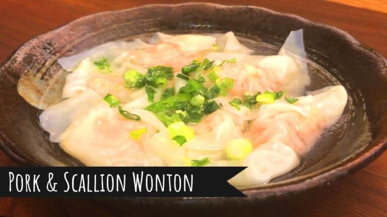 Pork & Scallion Wonton / 豚ひき肉とネギのワンタン