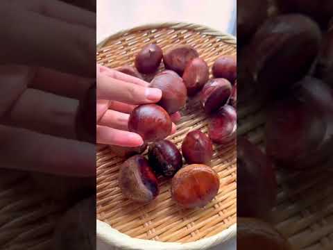 栗あん／chestnut bean paste