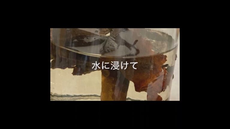 驚きの美味しさと手軽さ！　焙煎昆布出汁で作るめんつゆ　#Shorts　#出汁昆布　#めんつゆ　#乾物　#焙煎　＃精進料理　＃お寺のレシピ　＃Japanese vegetarian cuisine