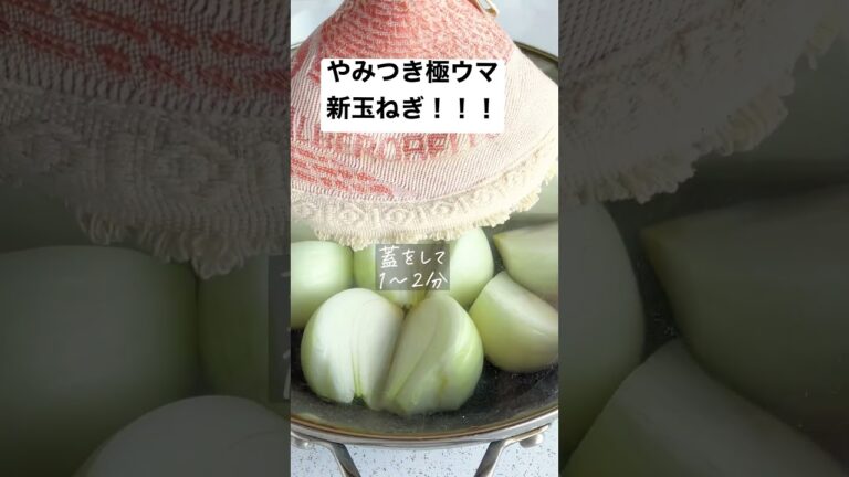 【やみつき極ウマ新玉ねぎ】 #時短レシピ #cooking #recipe #shorts #short #簡単レシピ #料理動画 #おうちごはん #時短レシピ #節約レシピ #節約 #時短 #料理