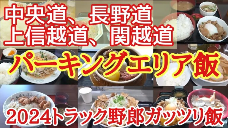 【パーキングエリア飯】2024総集編。中央道、長野道、上信越道、関越道。トラック野郎のガッツリ飯。【長距離トラック】【Japanese food】