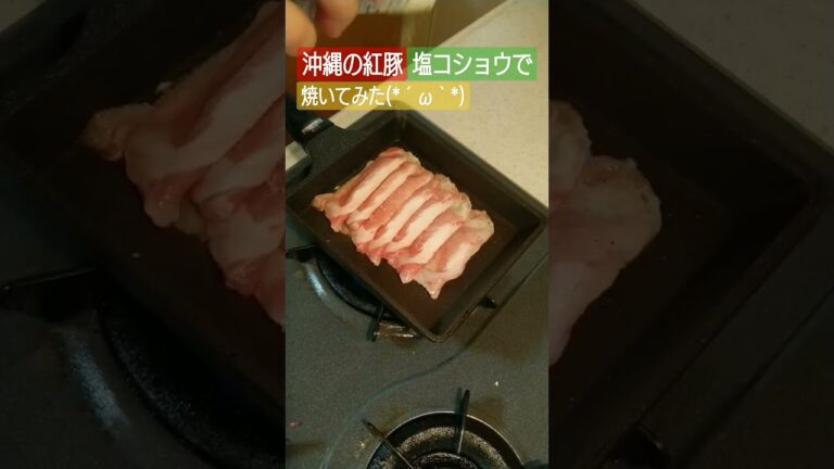 紅豚ロース塩コショウ焼き(*´ω｀*)#豚肉 #肉 #肉料理 #簡単レシピ #簡単 #簡単料理 #簡単料理 #料理 #料理動画 #料理男子 #料理初心者 #焼く #ツマミ #おつまみ #おつまみレシピ