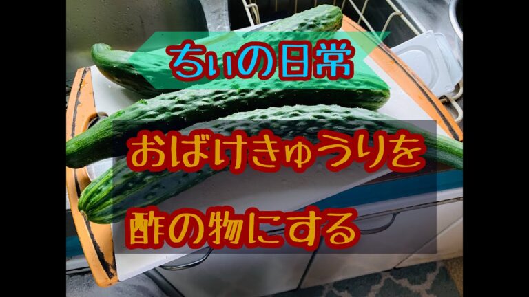 【料理】おばけきゅうりを酢の物にする　ちぃの日常