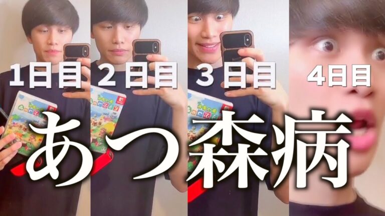 あつ森に影響うけた人
