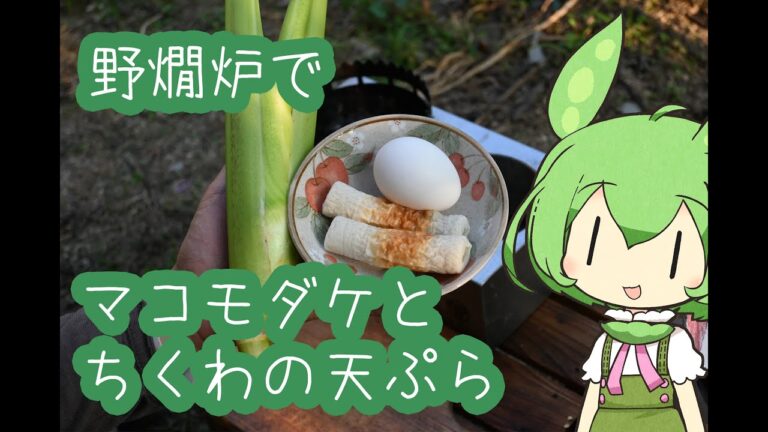 【野燗炉】マコモダケとちくわの天ぷらで呑む【ﾐﾆ七輪】