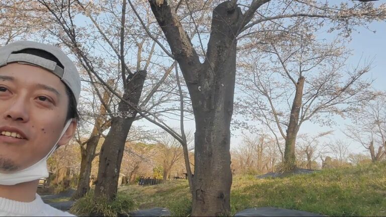 桜を見ながらBBQをする会