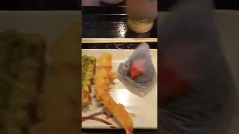 丸亀製麺 鬼おろし肉ぶっかけうどん