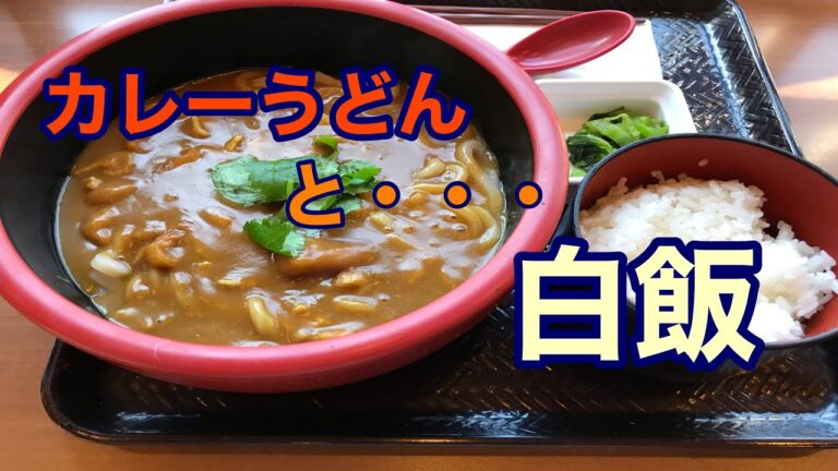 出汁の効いたカレーうどん！　と白飯！　このダッグは最強だ。