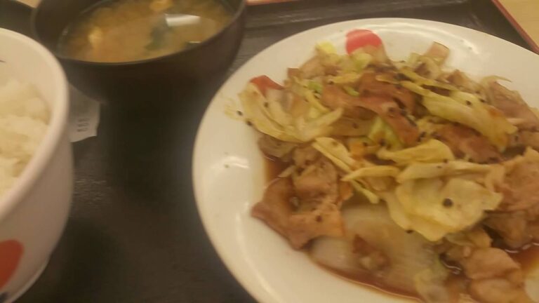 Matsuya 松屋フーズ スタミナ肉野菜炒め