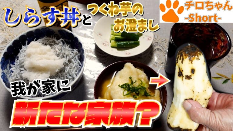 とある日の夕食 しらす丼とつくね芋のお澄ましとばあちゃんのてへぺろと。４K＃shorts