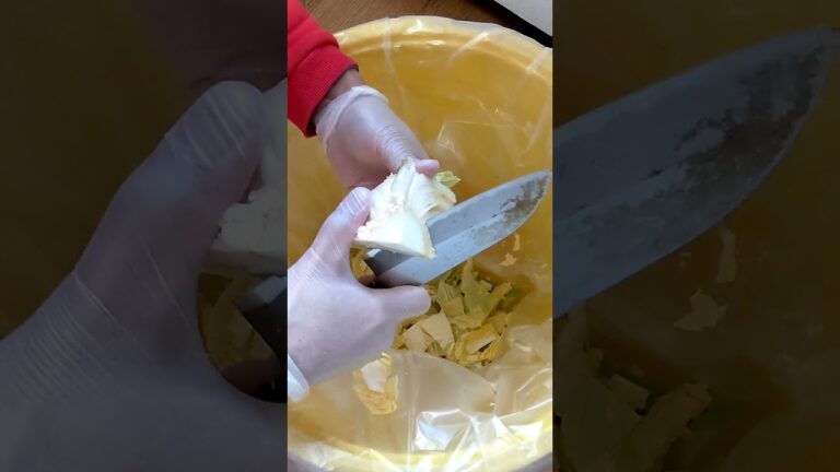 ごはんが３杯食べたくなる農家の白菜漬け。