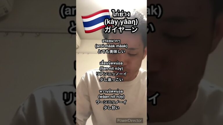 #10【タイ料理】ガイヤーン【カルディ】