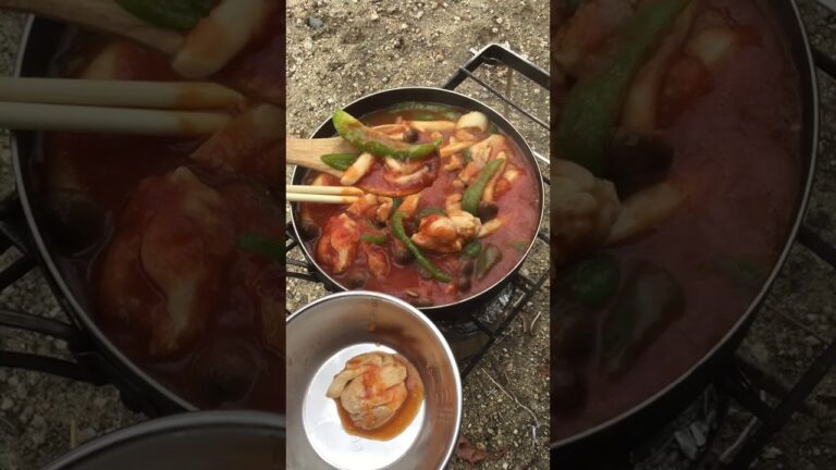 鶏もも肉のトマト煮＆その後パスタ。