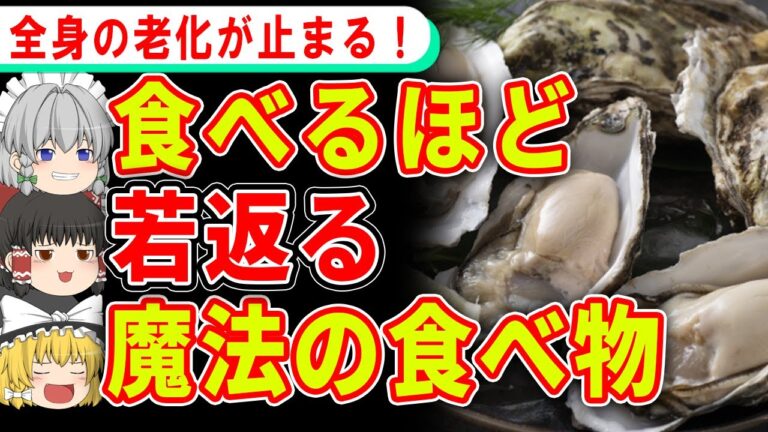 食べれば食べるほど若返る魔法の食べ物【ゆっくり解説】